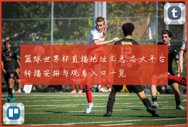 篮球世界杯直播地址汇总 各大平台转播安排与观看入口一览