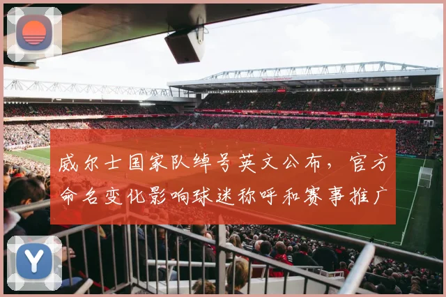 威尔士国家队绰号英文公布，官方命名变化影响球迷称呼和赛事推广