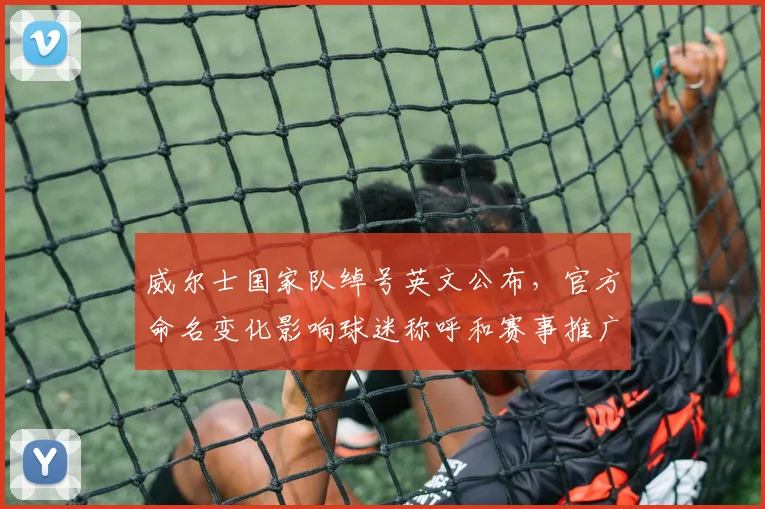 威尔士国家队绰号英文公布，官方命名变化影响球迷称呼和赛事推广