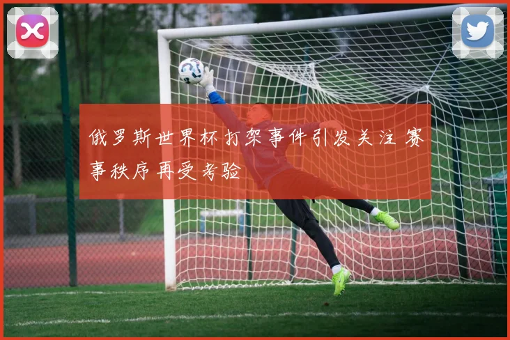 俄罗斯世界杯打架事件引发关注 赛事秩序再受考验