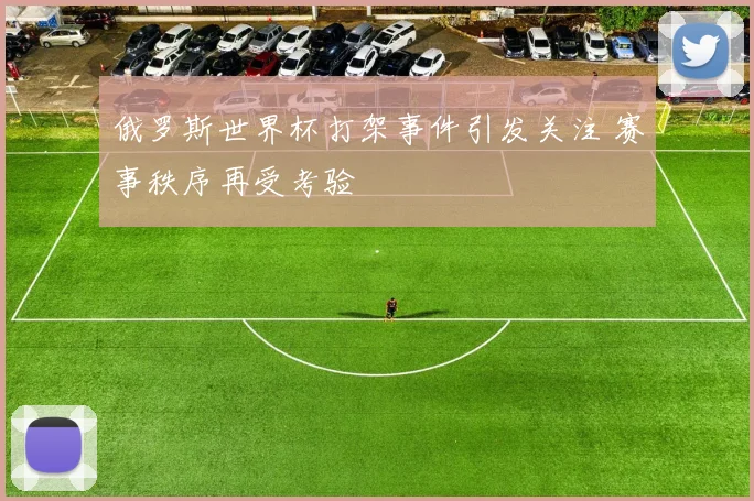 俄罗斯世界杯打架事件引发关注 赛事秩序再受考验