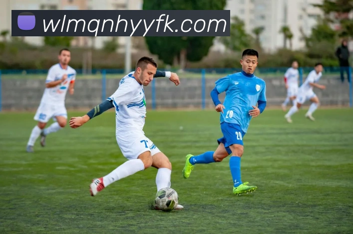 多媒体互动体验